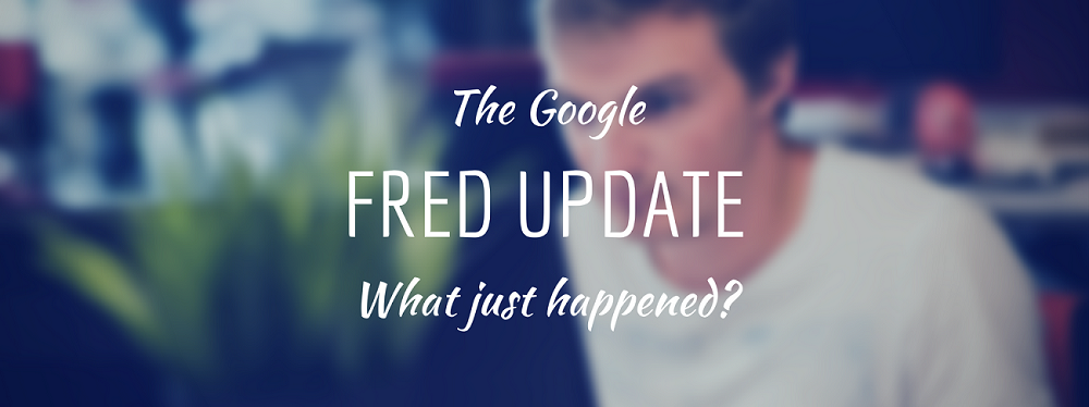 GOOGLE FRED UPDATE